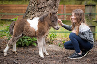 Een geweldige dag in een pretpark!